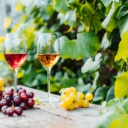 La historia del vino