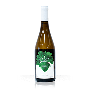 GADEA BLANCO ECOLÓGICO