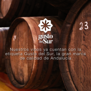 GUSTO DEL SUR_ACTUALIDAD